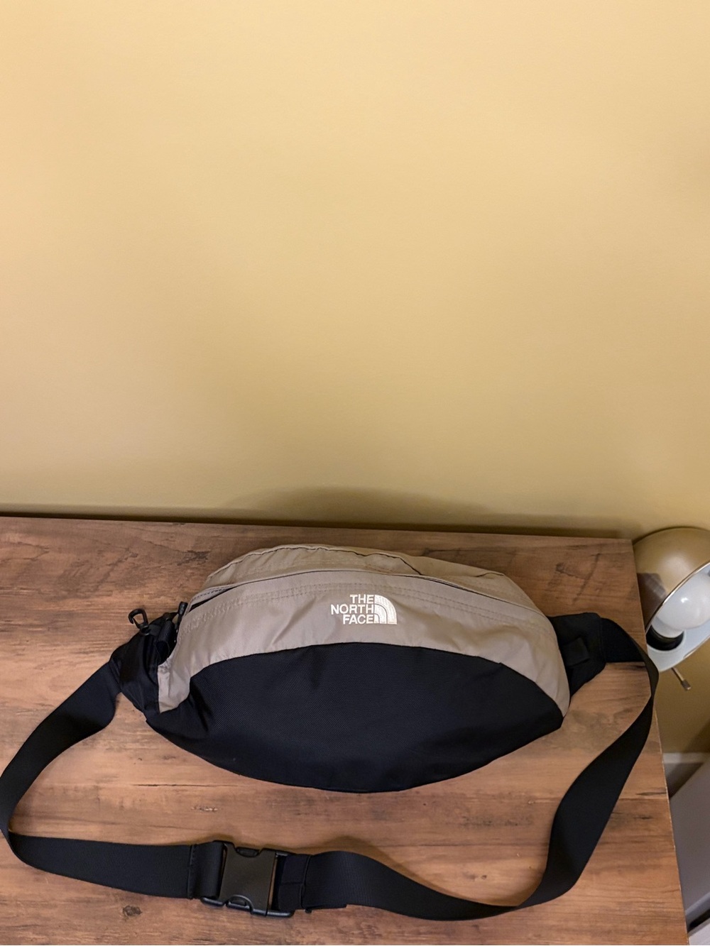 The North Face Men’s Black and Beige Waist Pack
